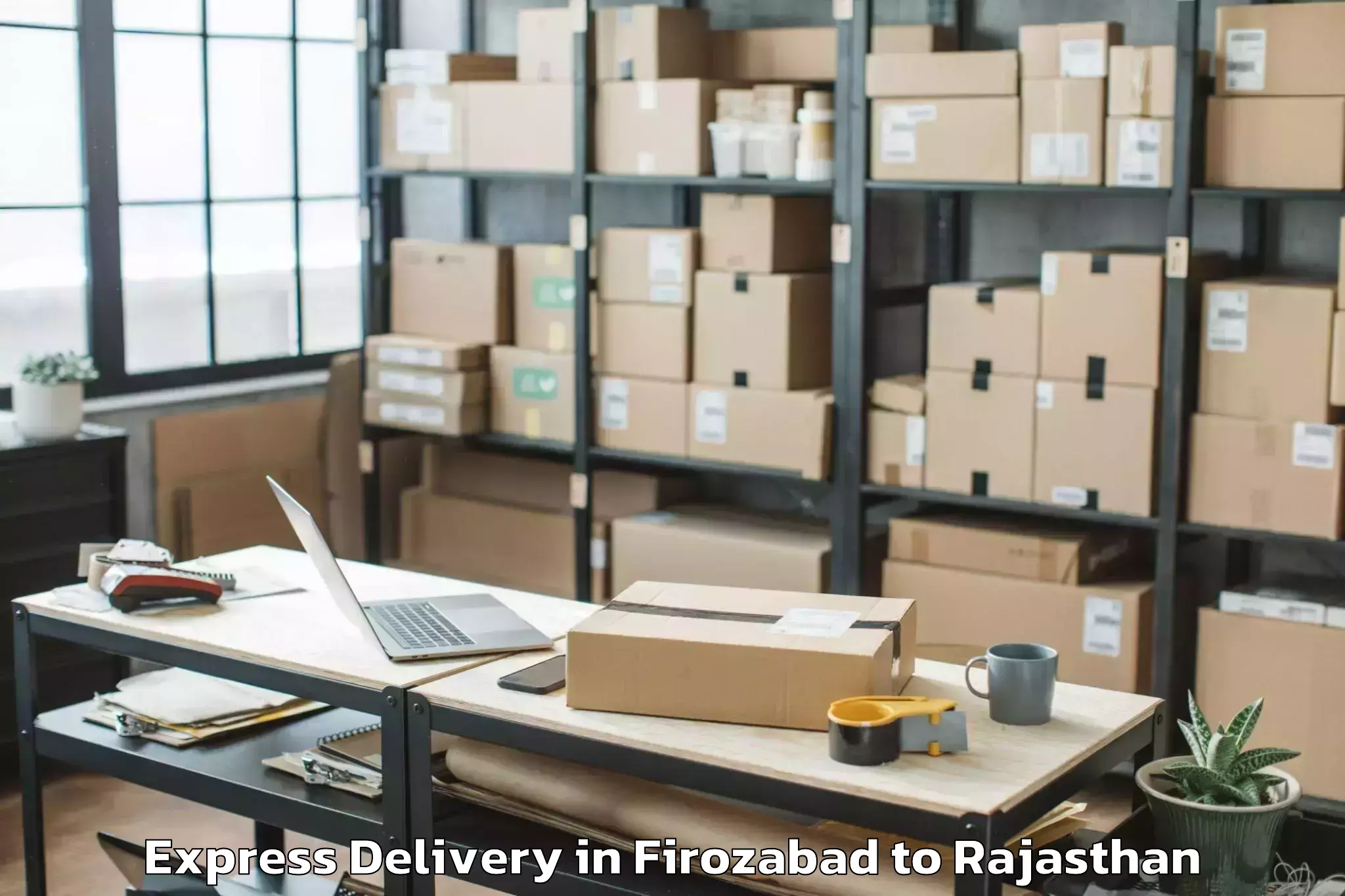 Expert Firozabad to Rajasthan University Of Health Express Delivery